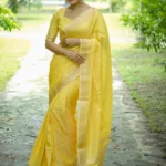 Royal Kanchipuram Silk Saree