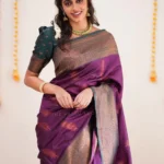 Traditional Zari Border Saree